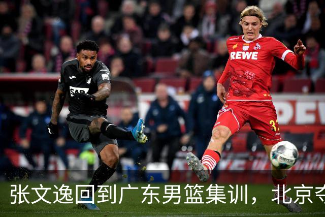 张文逸回到广东男篮集训，北京夺冠功勋确定退役，上海欲续约弗格