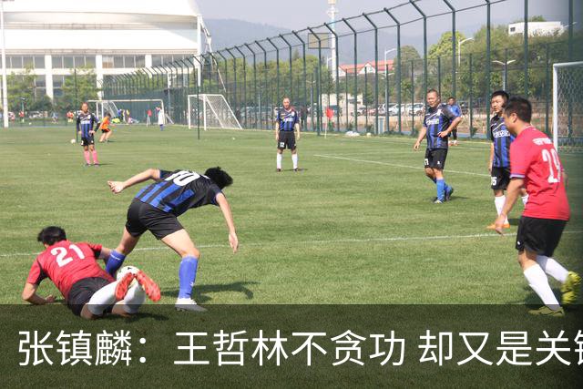 张镇麟：王哲林不贪功 却又是关键时刻能站出来的人 队长当之无愧